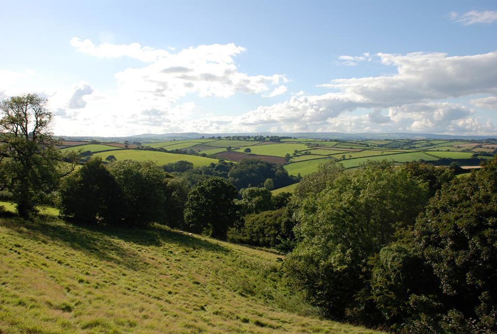 Kerswell Farmhouse Totnes Esterno foto